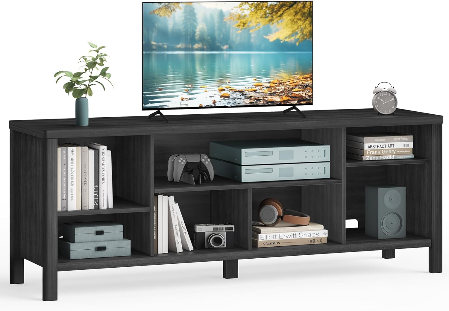 Modern TV Stand with Storage